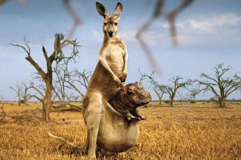 古代比喻开心的句子