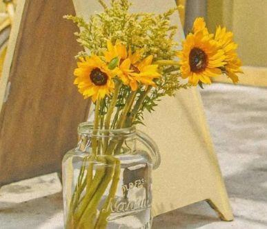 对末来失望的句子