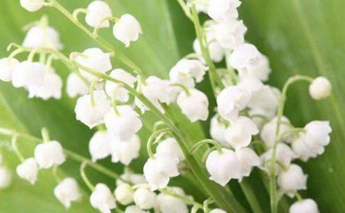 对男朋友失望分手的句子