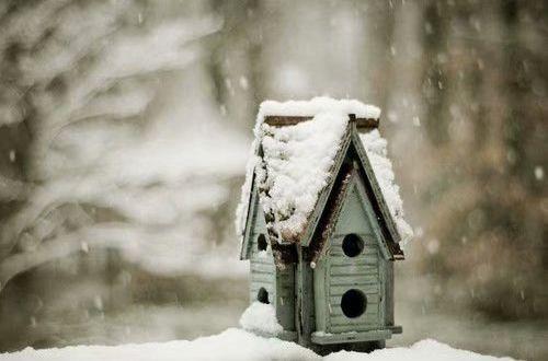 如何高级的夸人好看 夸别人漂亮的短句