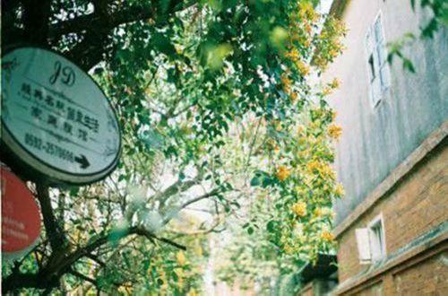 关于思念的唯美语句