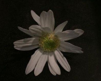 一个人吃火锅该配什么文字