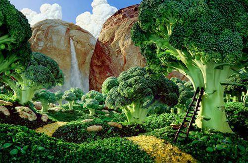 友情陪伴唯美短句子