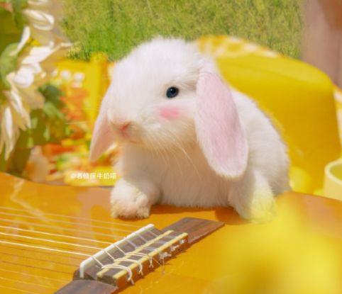 热恋情侣晒幸福的微信个性签名