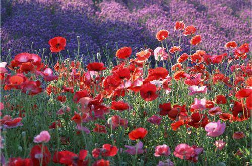 2022年抖音上很火的个性签名