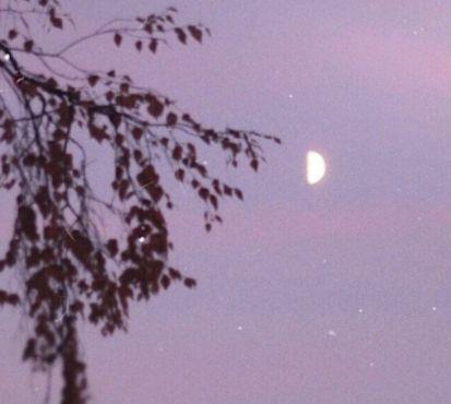 2021情侣非主流签名 非主流情侣浪漫个性签名