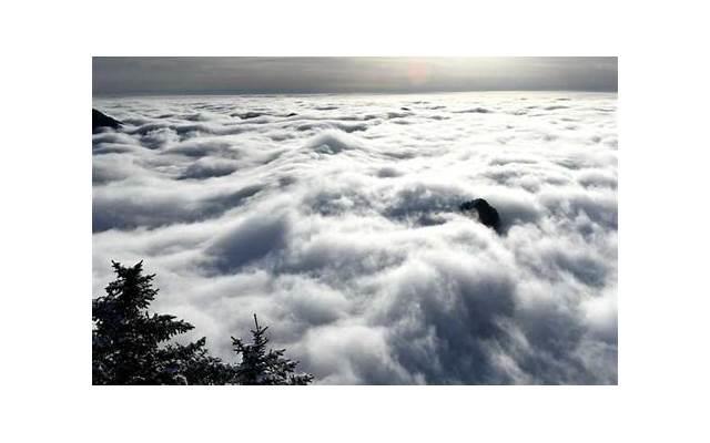 摆渡人经典语录，读懂这些话，让你的爱情再次升华