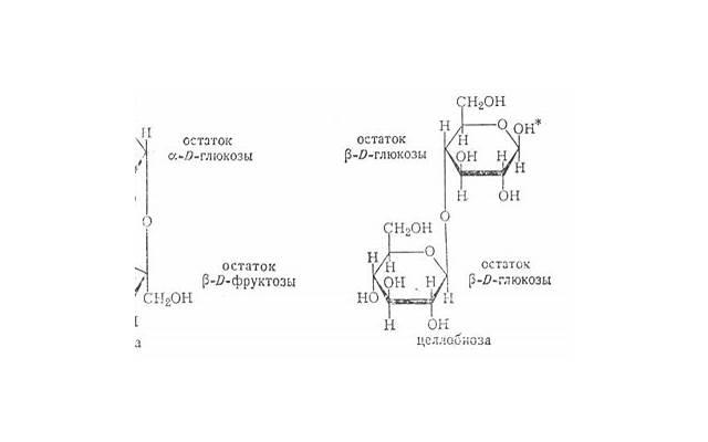 如何才能写出最浪漫的表白情话