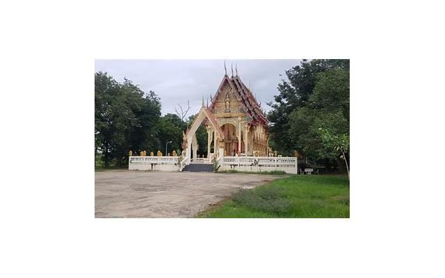 甜到炸裂的小情话套路(有趣土味情话高级撩人)