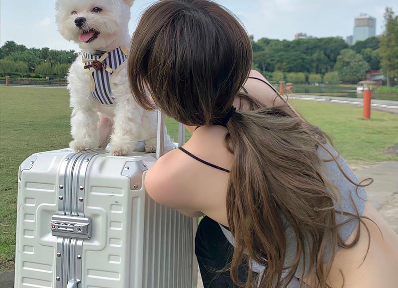 这些情话撩人腿软 打动女孩子哭的真心话