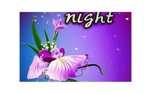 抖音土味情话2025 句句是脱单情话