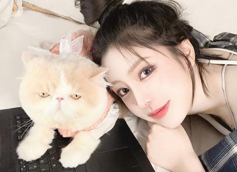 看似骂人却是表白 有深意不明显的情话