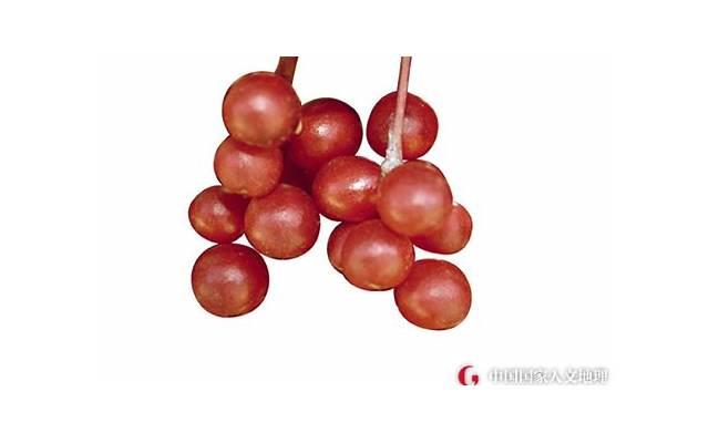 关于白骨精的土味情话