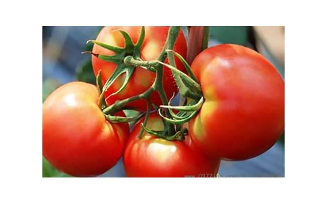 撩妹套路聊天,撩妹套路很污的话 撩妹套路聊天,撩妹套路很污的话