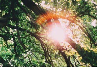 毕业季唯美语录短句