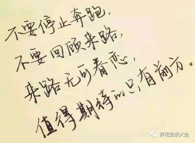 人生的美文短句 关于人生感悟的美文