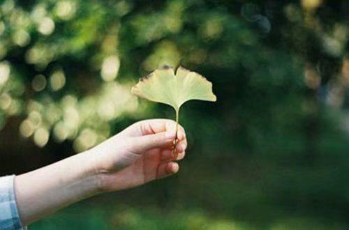 看电影发朋友圈写什么