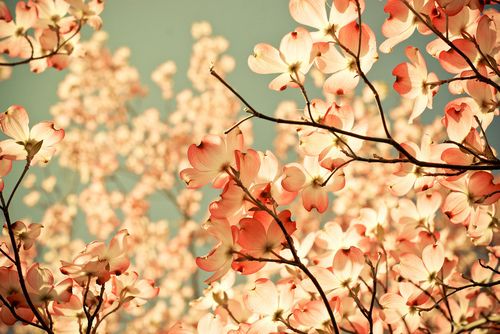 英语谚语关于运动50句