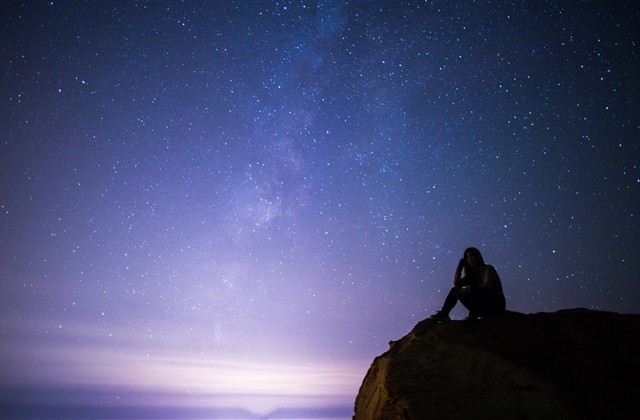 月季花开的说说