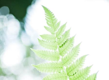 一个字的经典qq网名