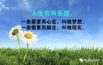 激励的句子 励志的句子，经典励志句子