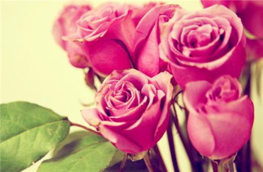 激励女人的励志句子