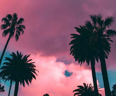 只有自己强大励志语录 正能量句子早安语录