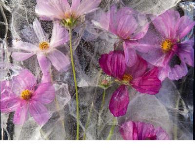 qq留言板留言友情简短