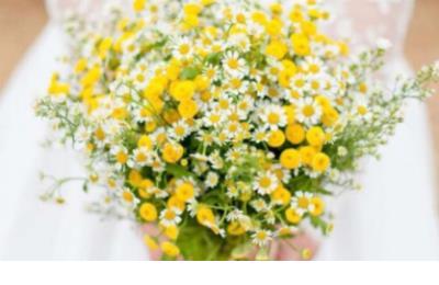 高考学子励志的话