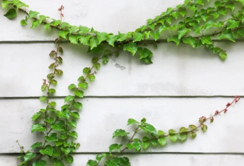 1710249293189339.png image.png