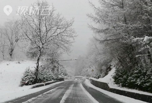 1710262634230263.png image.png