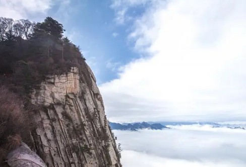 1710267468936758.png image.png