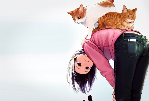 1706713657434664.png image.png