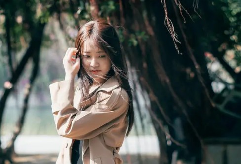 1706568650696684.png image.png