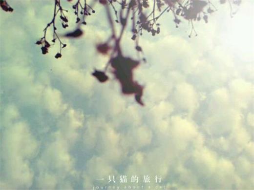 写给闺蜜的伤感说说