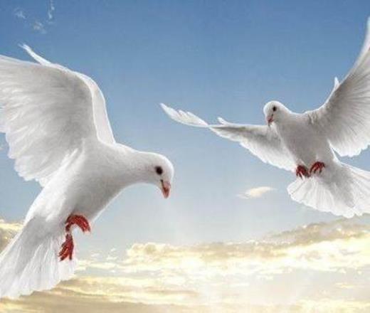 伤感毕业留言板留言大全