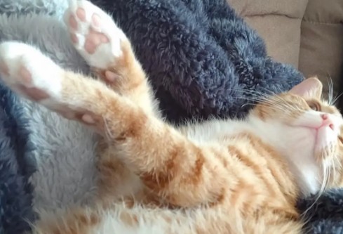 1713037818367835.png image.png