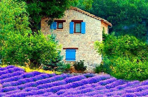 晚安励志格言句子