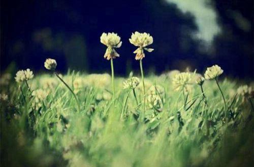 青春时期伤感的句子