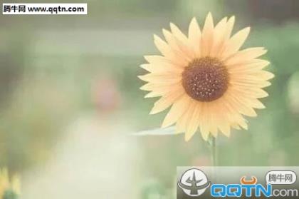 失恋后冷漠霸气个性签名