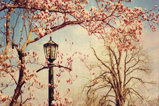 失恋后冷漠霸气个性签名