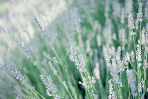 照顾好自己暖心的话 自己照顾好自己的说说(55句)