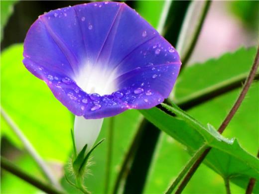 个性签名说说励志