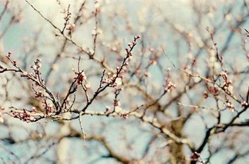 睡前一句话朋友圈晚安说说