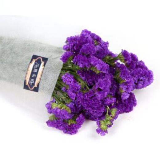 关于青春的情感文字说说