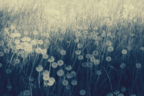 2023清明简短哀悼词大全(精选111句)