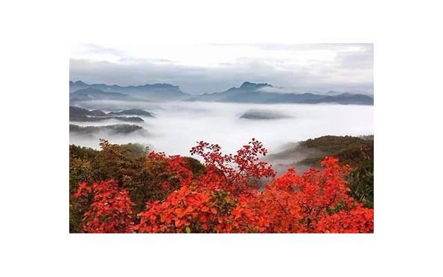 鼓励自己的幽默的话[情话大全拼音9件]