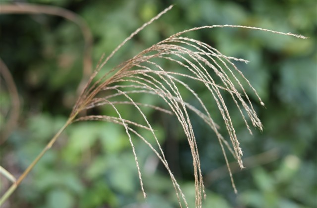 让妹子心动的网名(共92个)