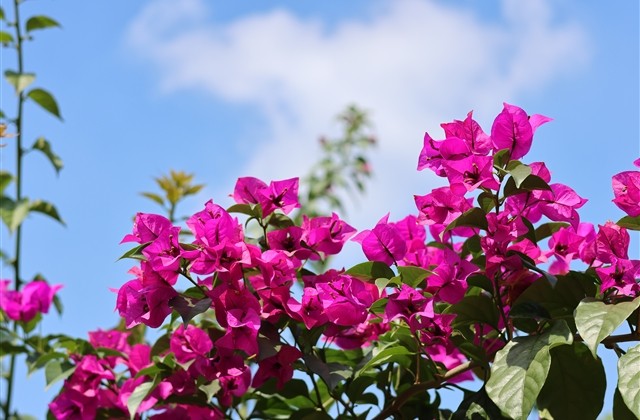 让妹子心动的网名(共92个)