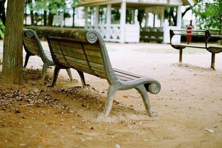 有关表白唯美的句子